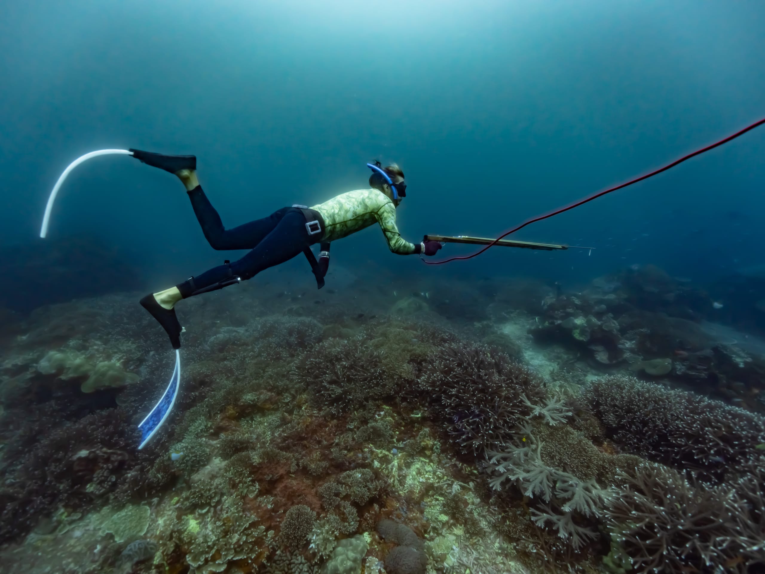 Nusa Penida Spearfishing Course